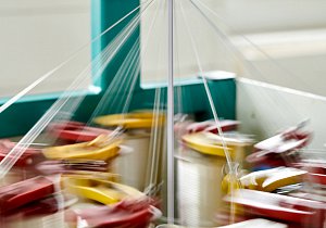 The ropes are spun from the threads