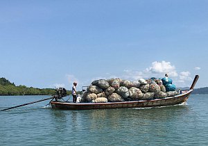 Collecting the plastic waste by boat